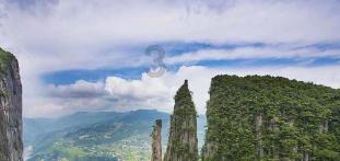 逗小猴开心系列205