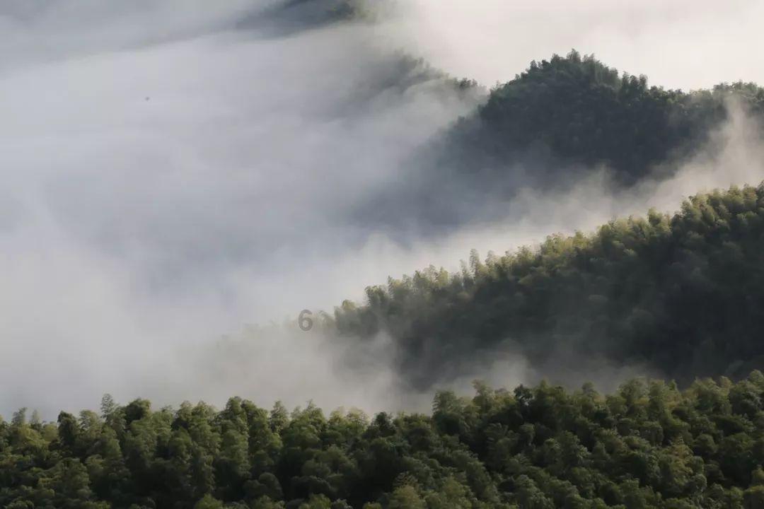 向“海”而兴