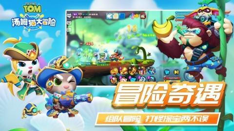 茜杰和莉斯大改造