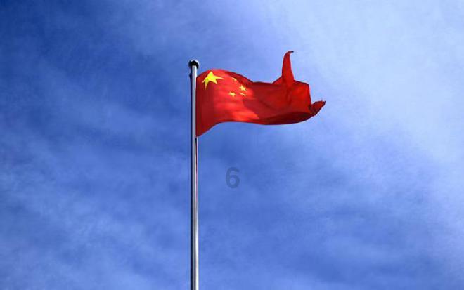 可爱小猫向上跳