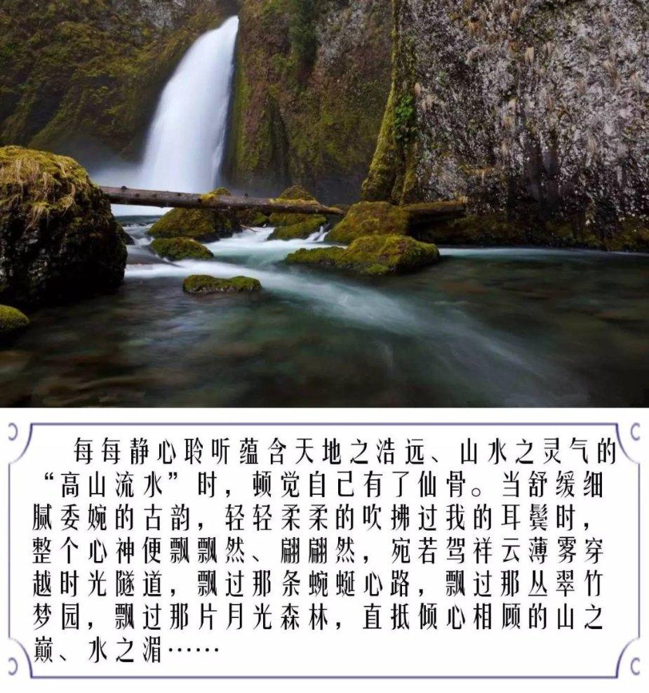 逗小猴开心系列211